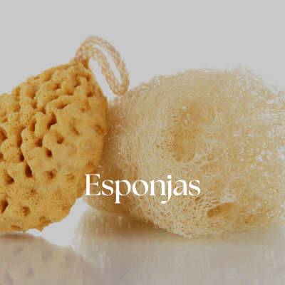 Esponjas