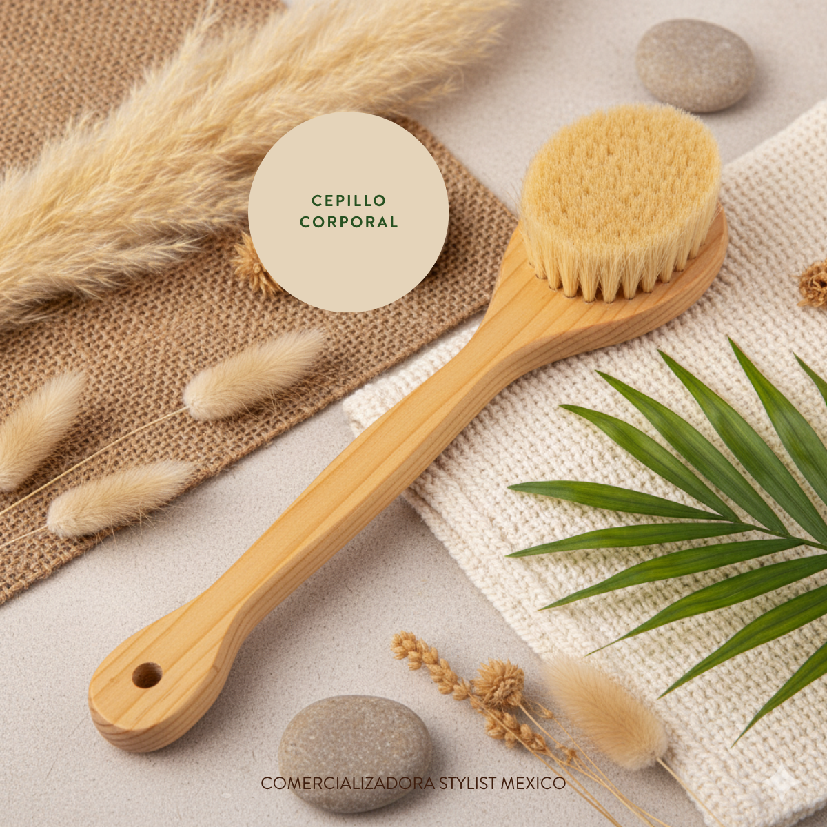 CEPILLO CORPORAL GRANDE 40 cm.