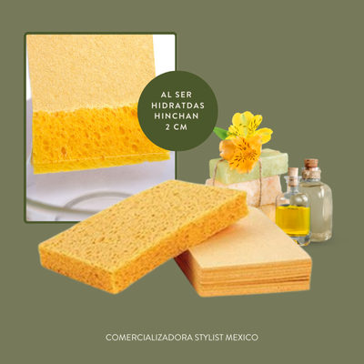 ESPONJAS CORPORALES COMPRIMIDAS 10 PZS